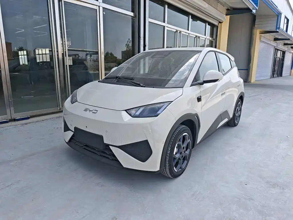 BYD Seagull 2026