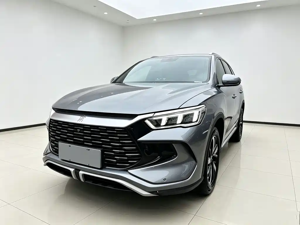BYD Pro New Energy 2025