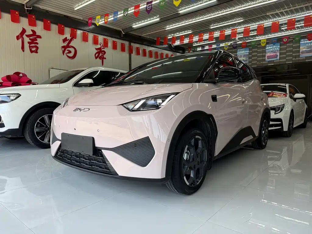 BYD Seagull 2025