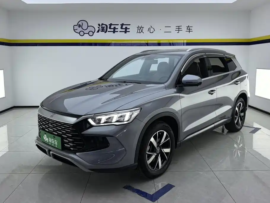 BYD Pro New Energy 2024