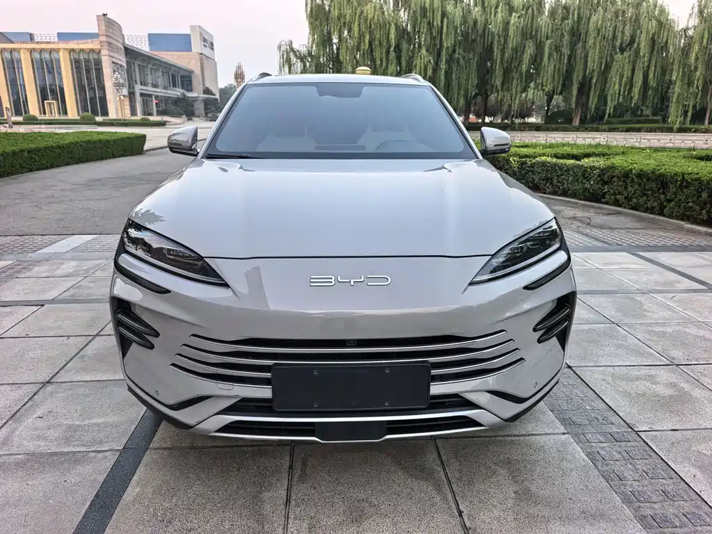 BYD PLUS New Energy 2024