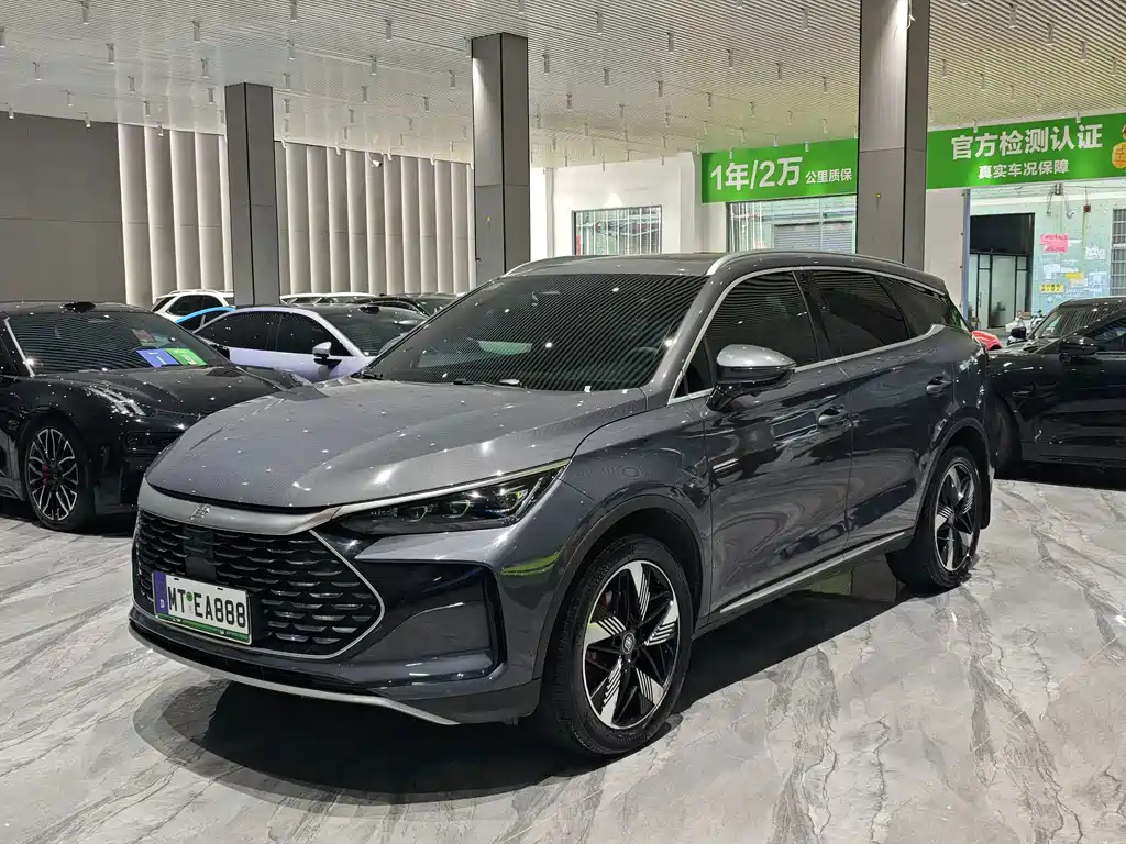 BYD Tang New Energy 2024