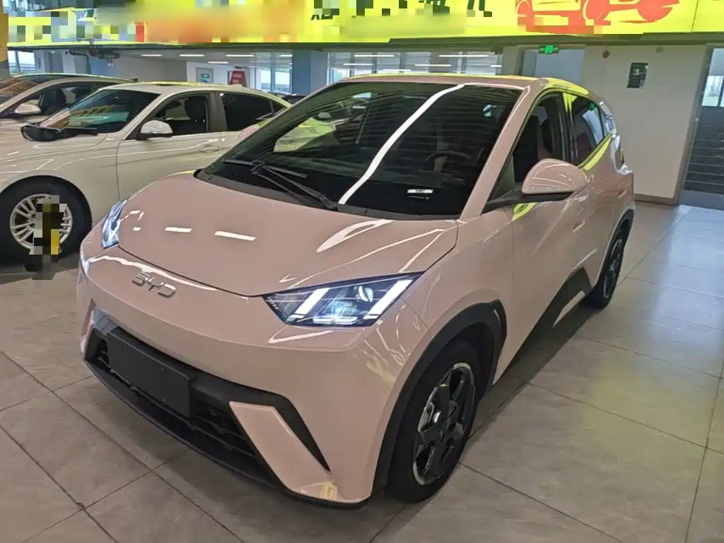 BYD Seagull 2024