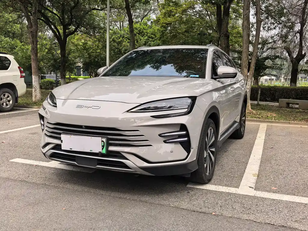 BYD PLUS New Energy 2024