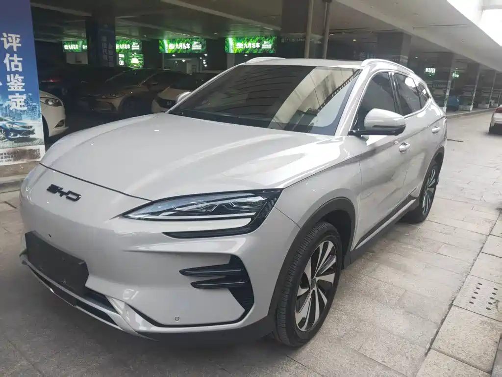 BYD PLUS New Energy 2024