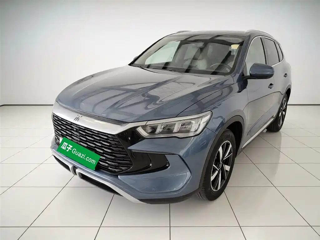 BYD Pro New Energy 2024
