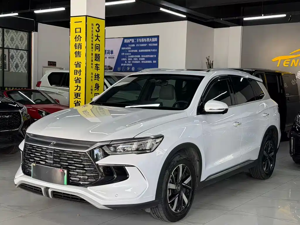 BYD Pro New Energy 2025