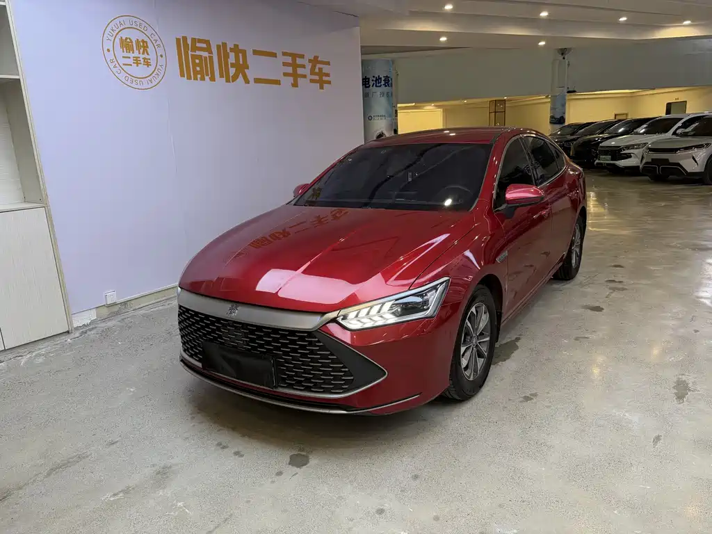 BYD Qin PLUS 2021