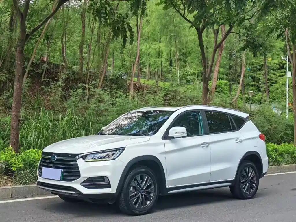 BYD New Energy 2019