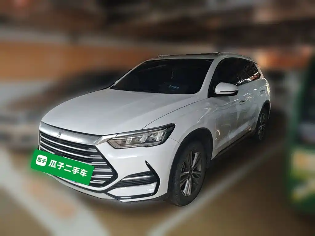 BYD Pro 2021