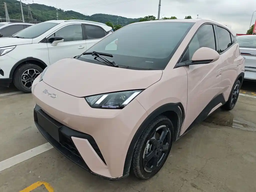 BYD Seagull 2024