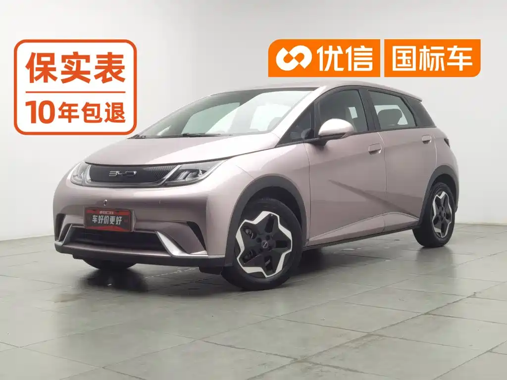 BYD Dolphin 2022
