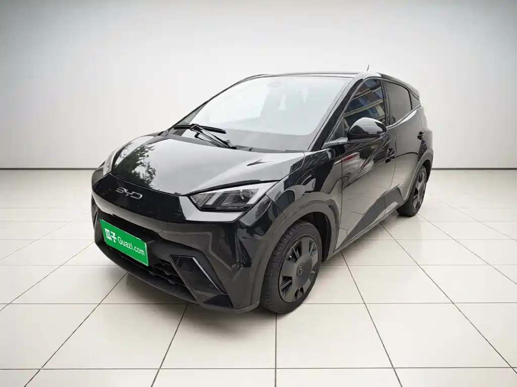 BYD Seagull 2024