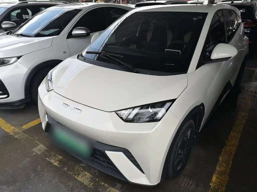 BYD Seagull 2024