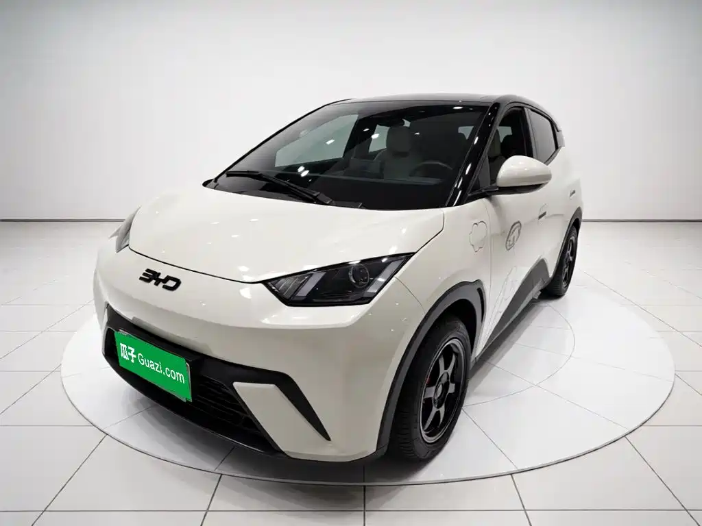 BYD Seagull 2024