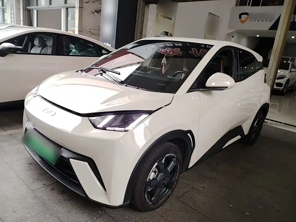 BYD Seagull 2024