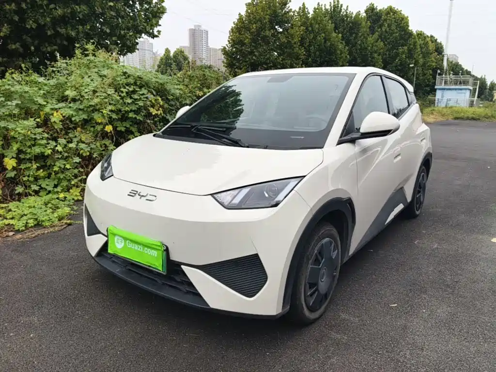 BYD Seagull 2025