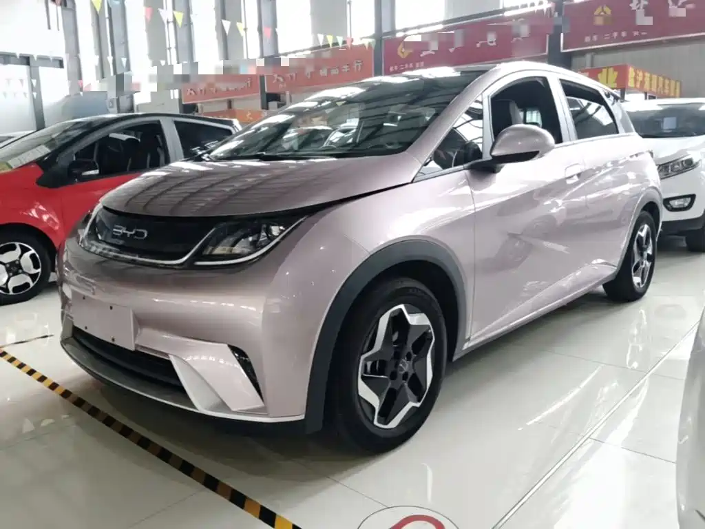 BYD Dolphin 2022