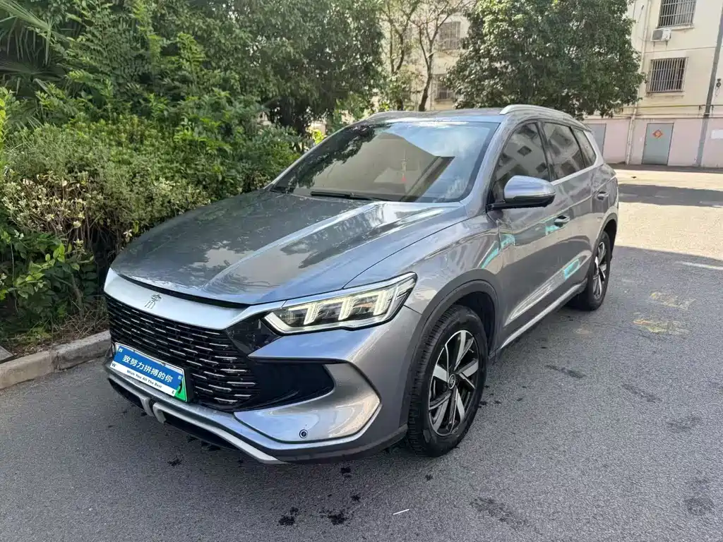 BYD Pro New Energy 2024