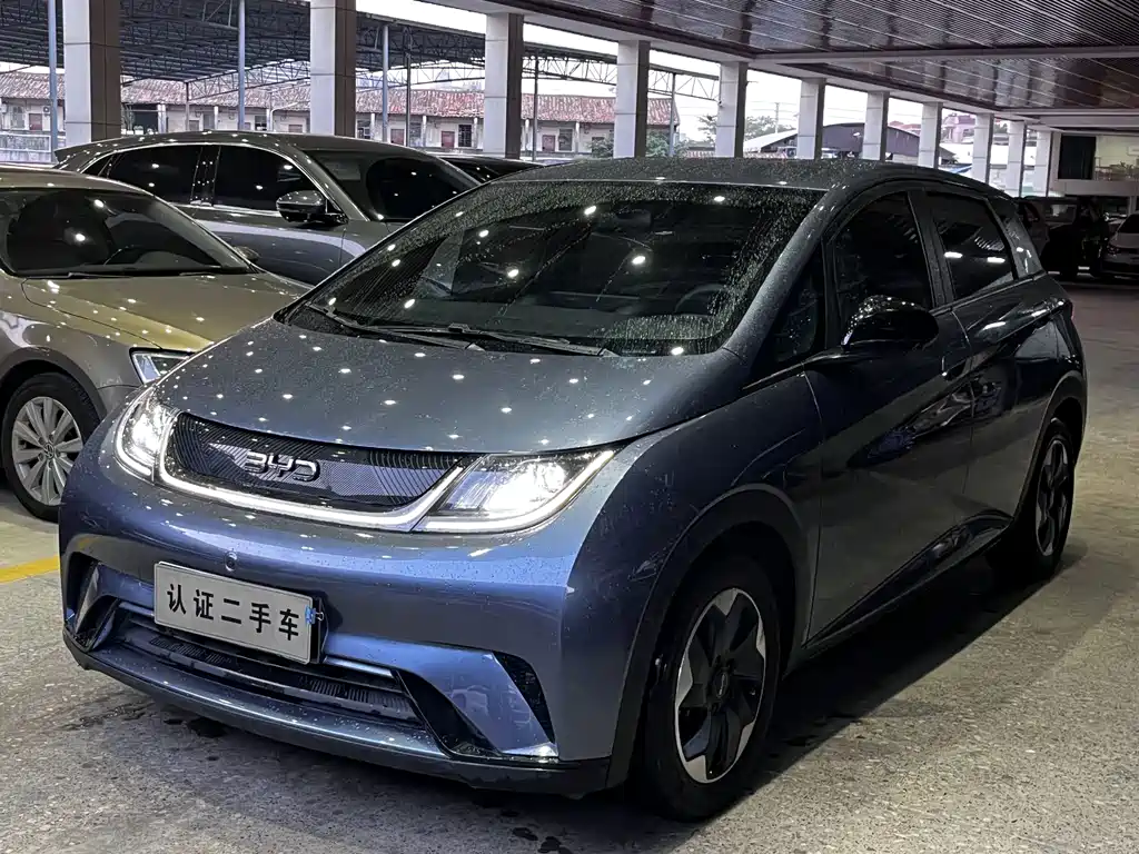 BYD Dolphin 2024