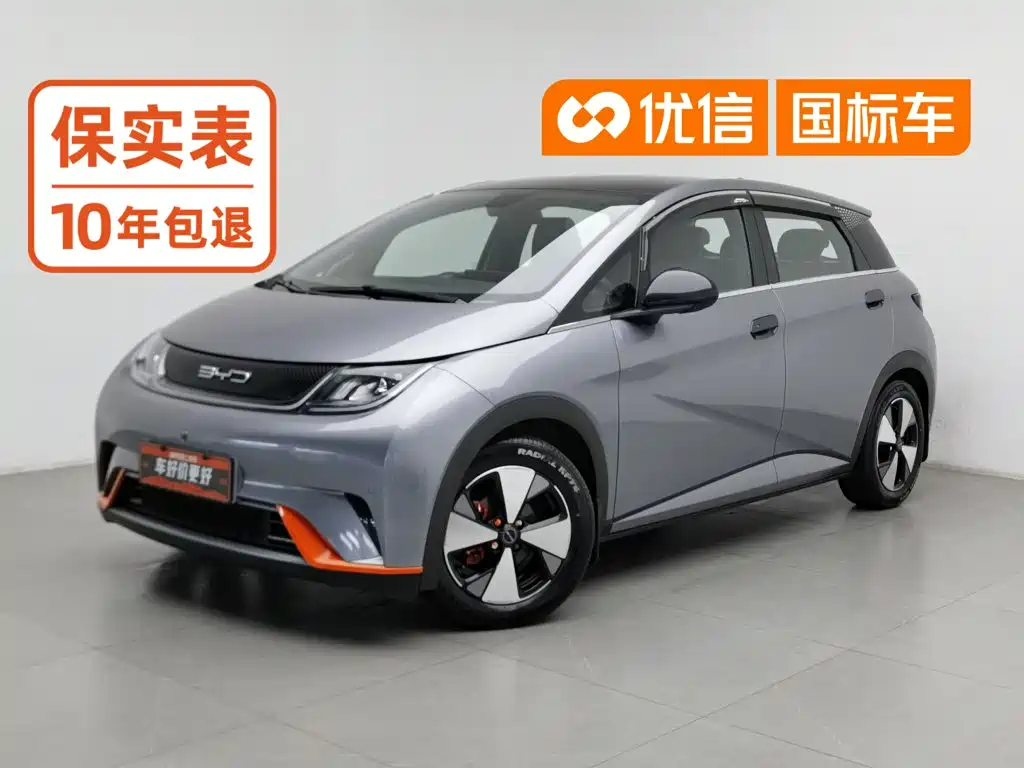 BYD Dolphin 2024