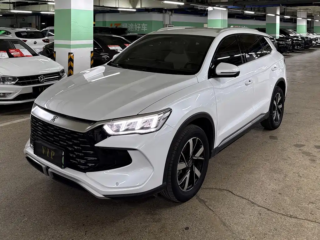 BYD Pro New Energy 2024