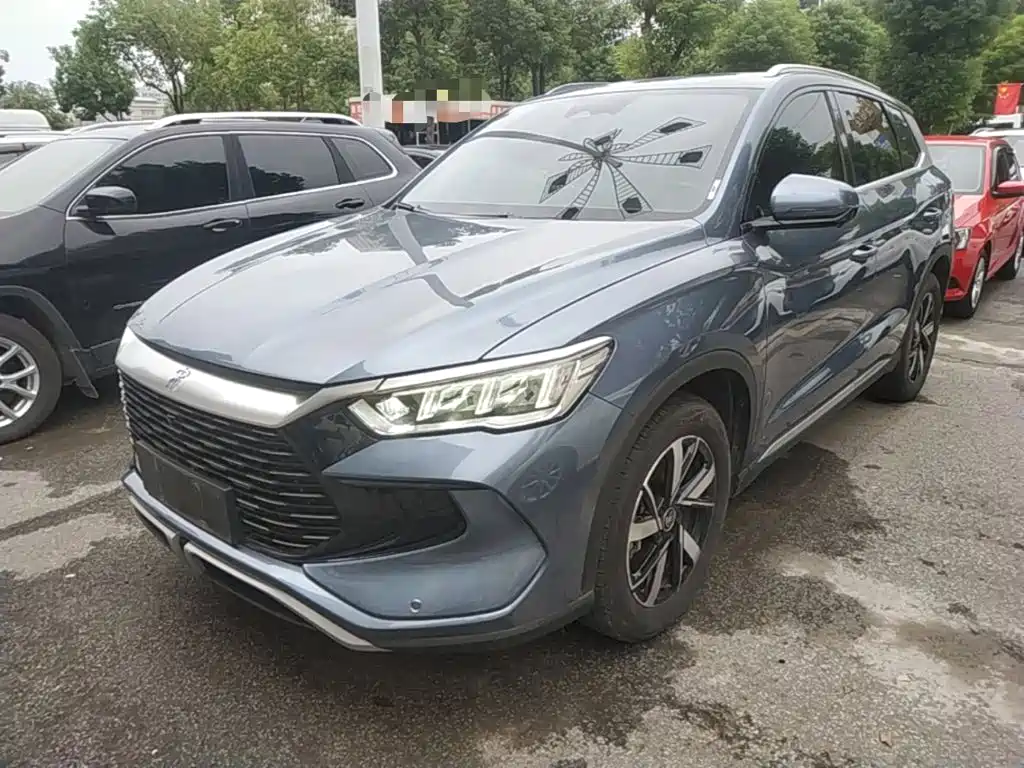 BYD Pro New Energy 2024