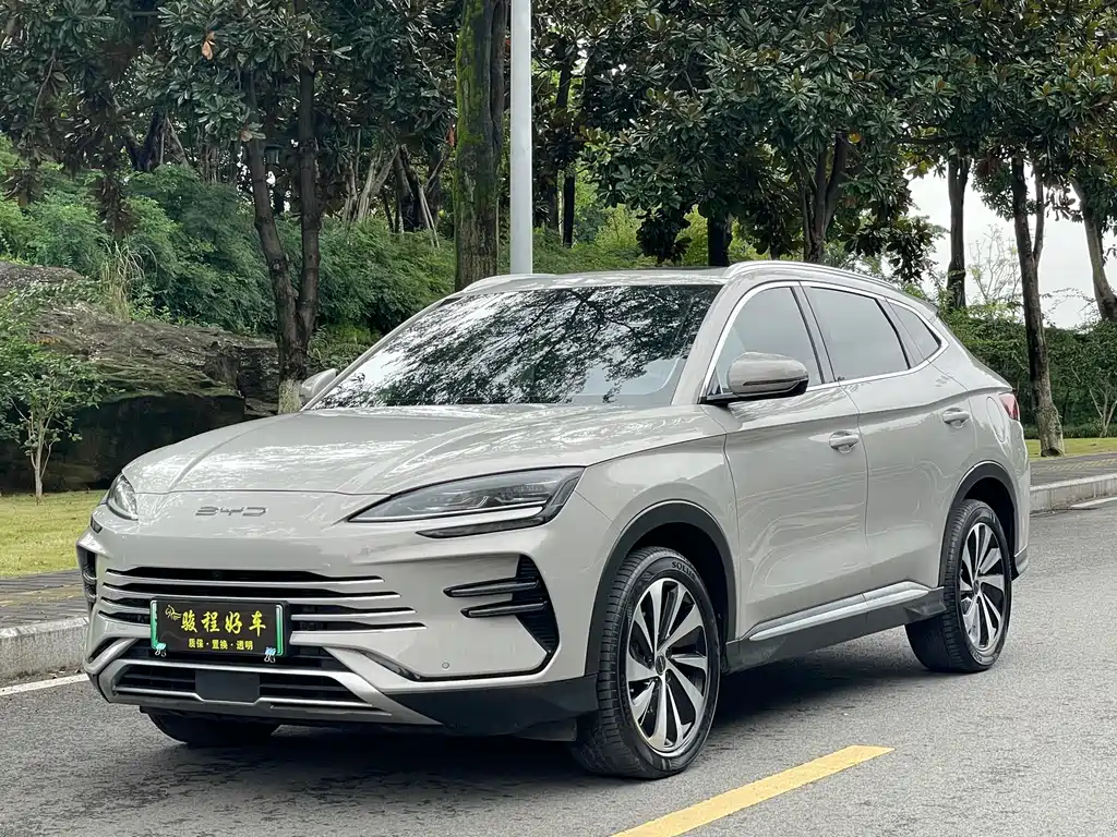 BYD PLUS New Energy 2024