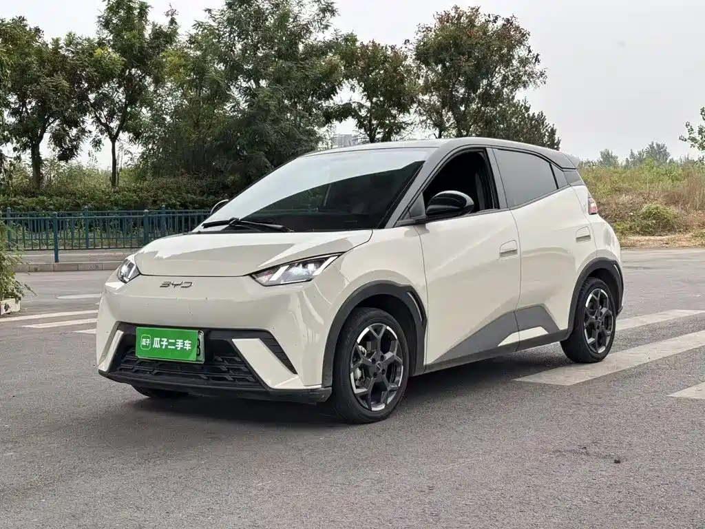 BYD Seagull 2024