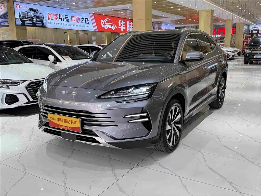 BYD PLUS New Energy 2024