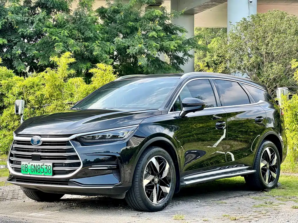 BYD Tang New Energy 2024