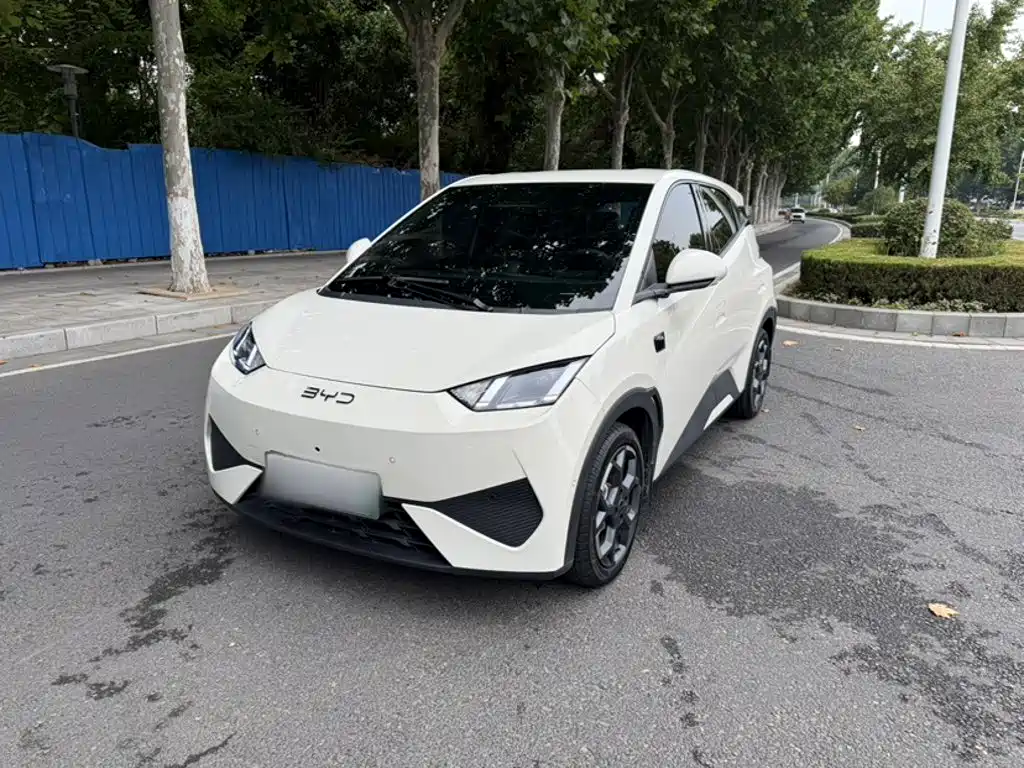 BYD Seagull 2025