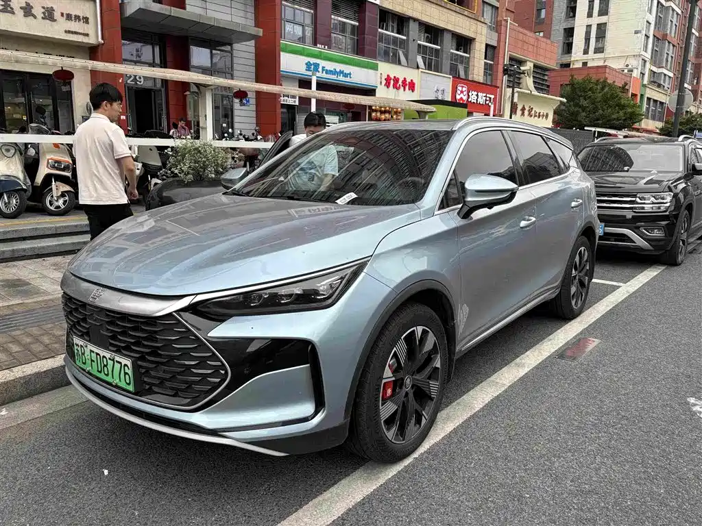 BYD Tang New Energy 2024