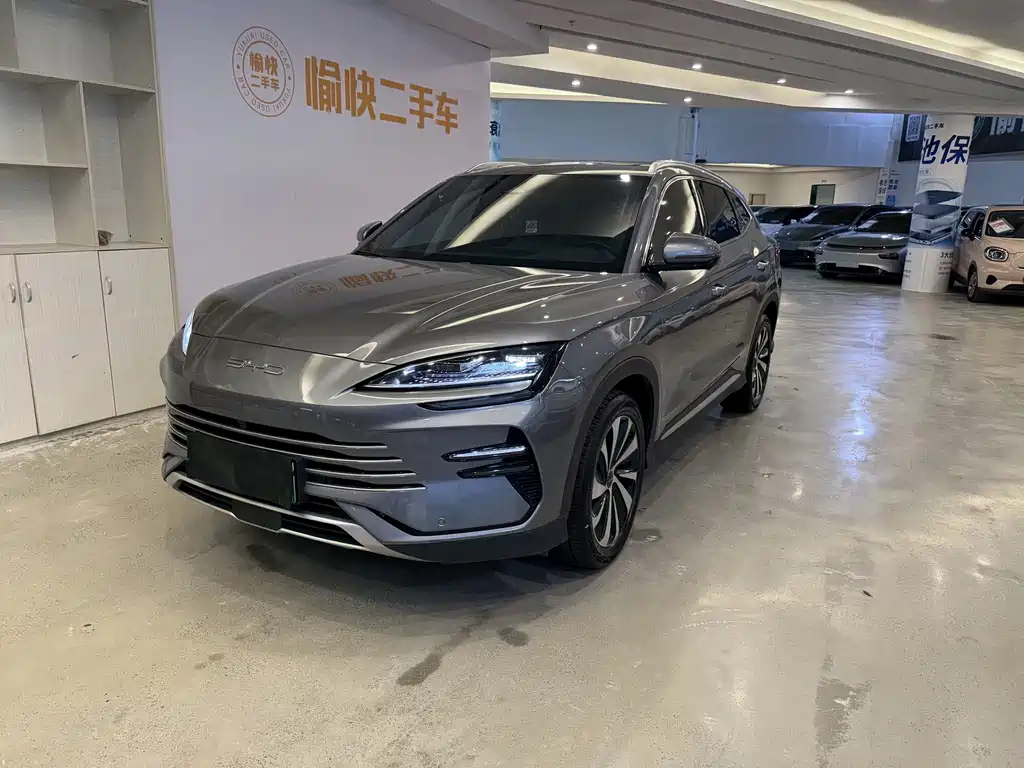 BYD PLUS New Energy 2023