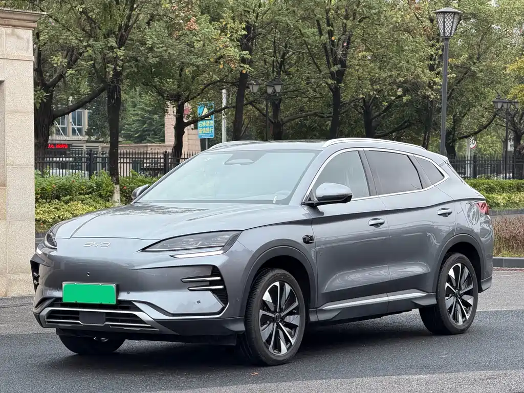 BYD PLUS New Energy 2025