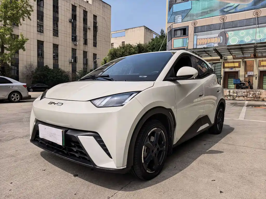 BYD Seagull 2024