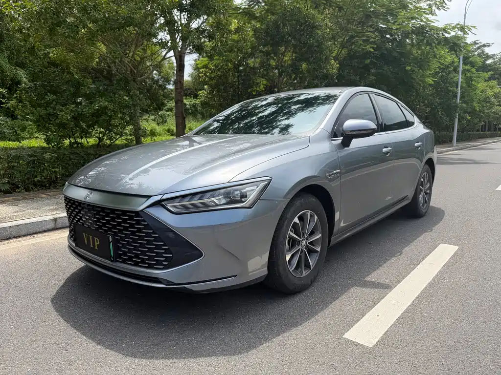 BYD Qin PLUS 2024