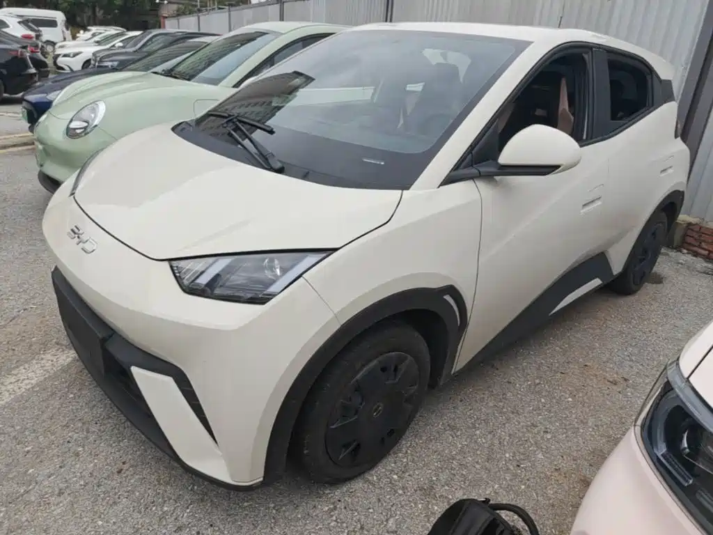 BYD Seagull 2024