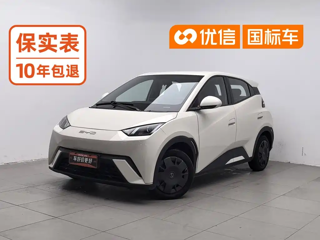 BYD Seagull 2024