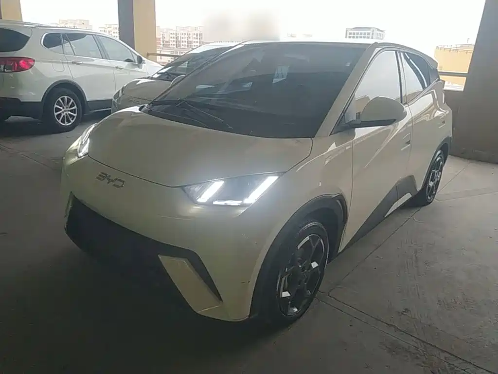 BYD Seagull 2024