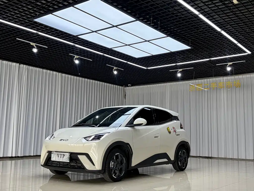 BYD Seagull 2024