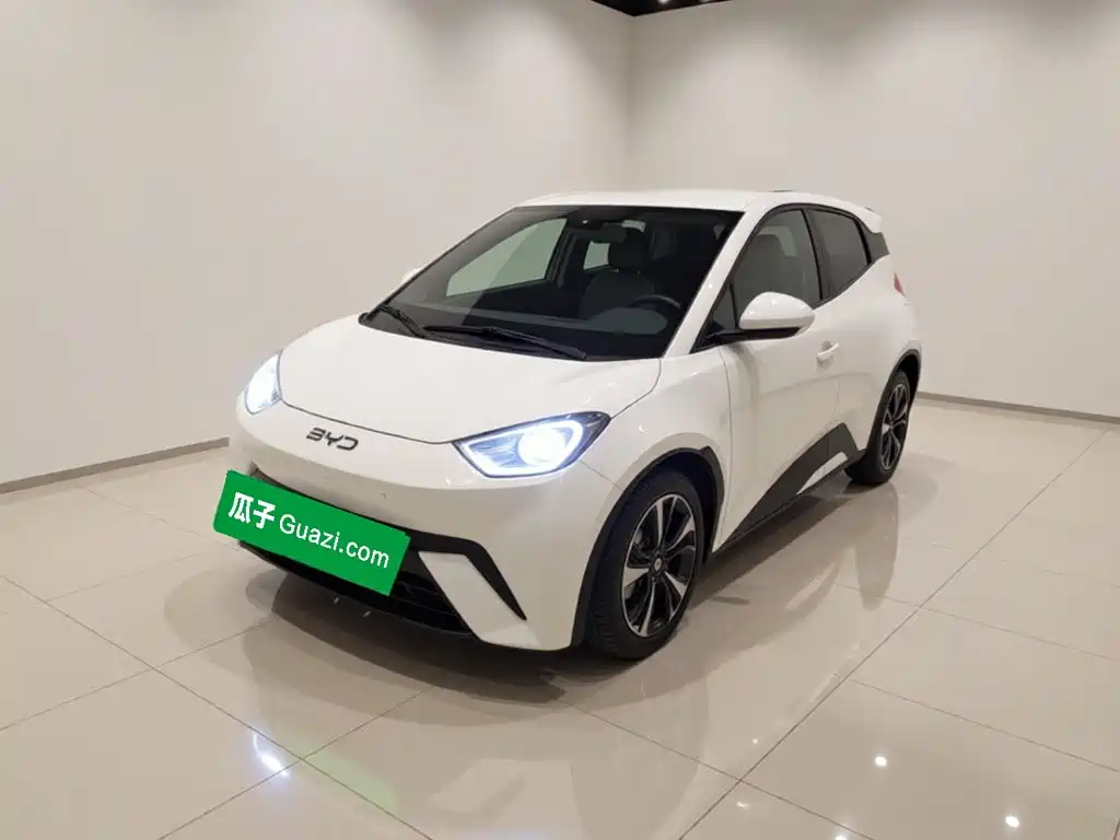 BYD Seagull 2024