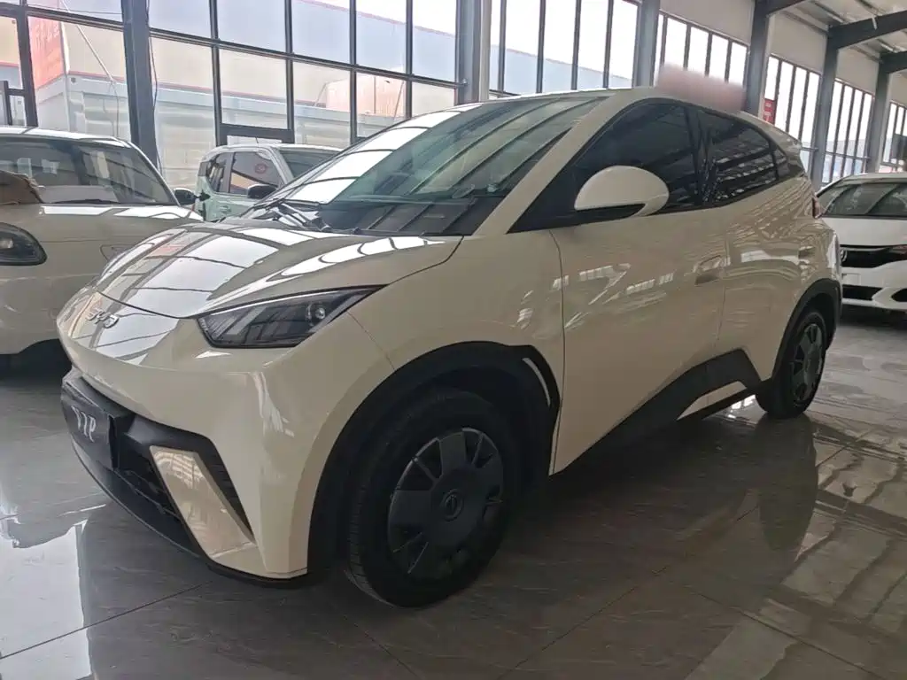 BYD Seagull 2024