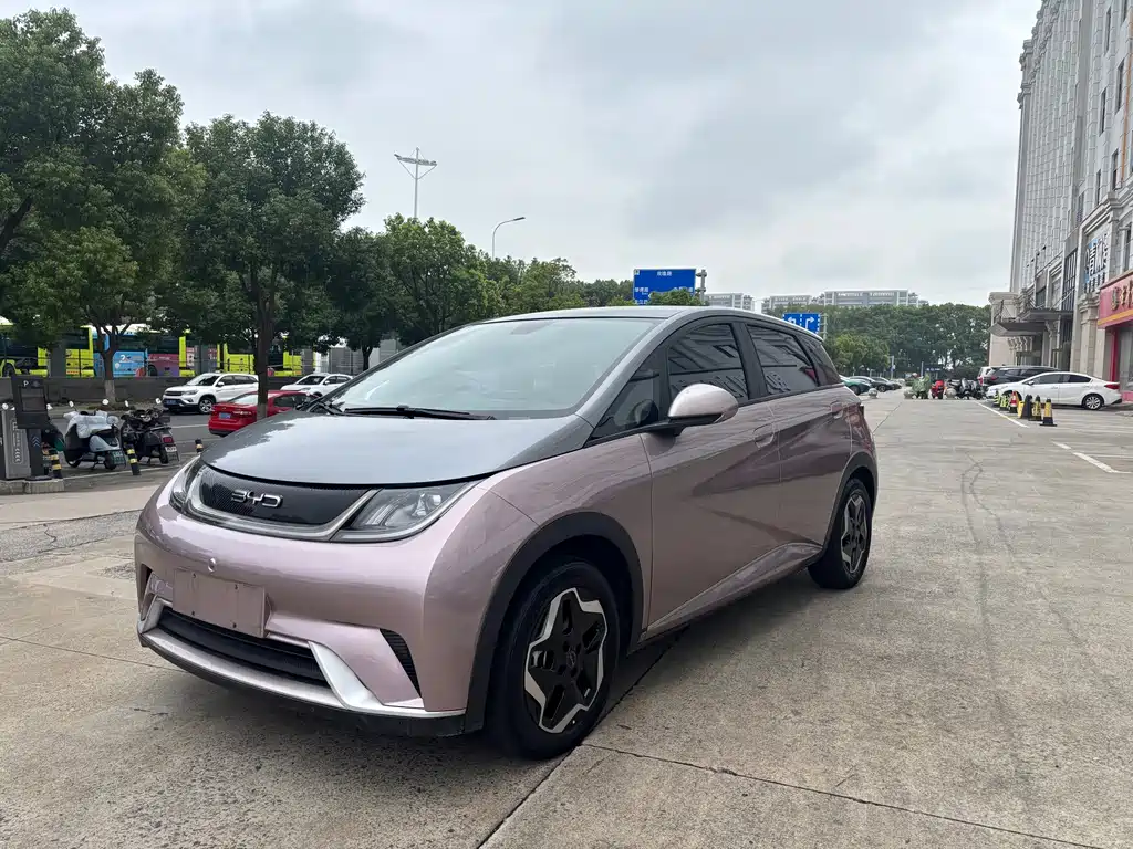 BYD Dolphin 2022