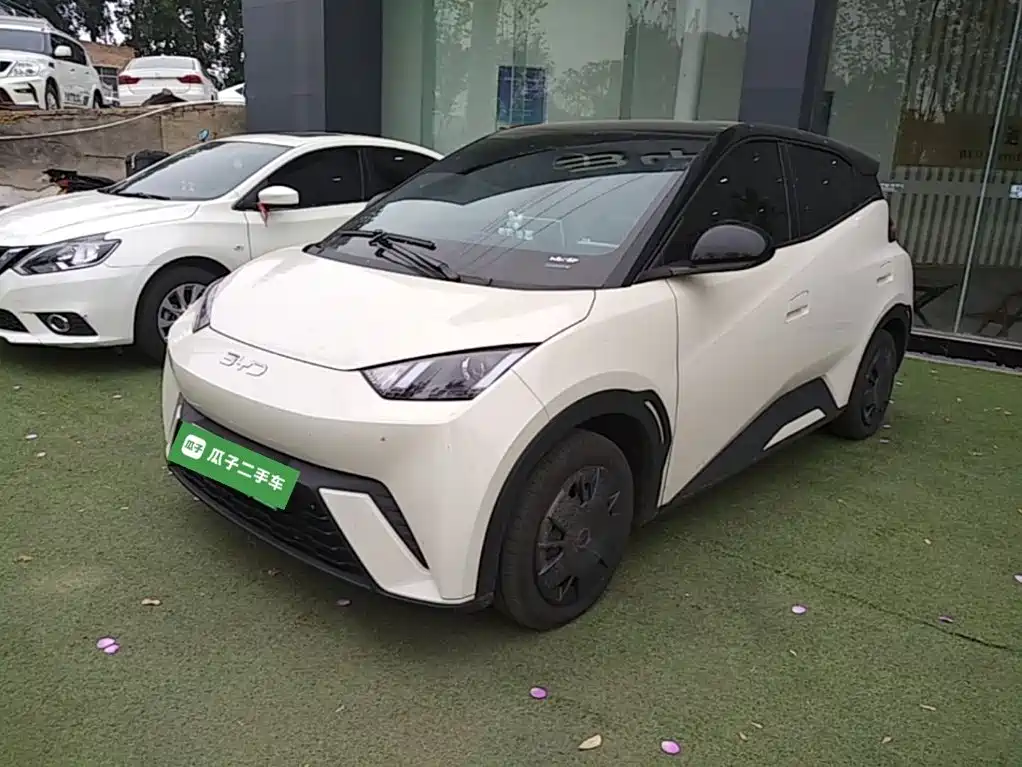 BYD Seagull 2024
