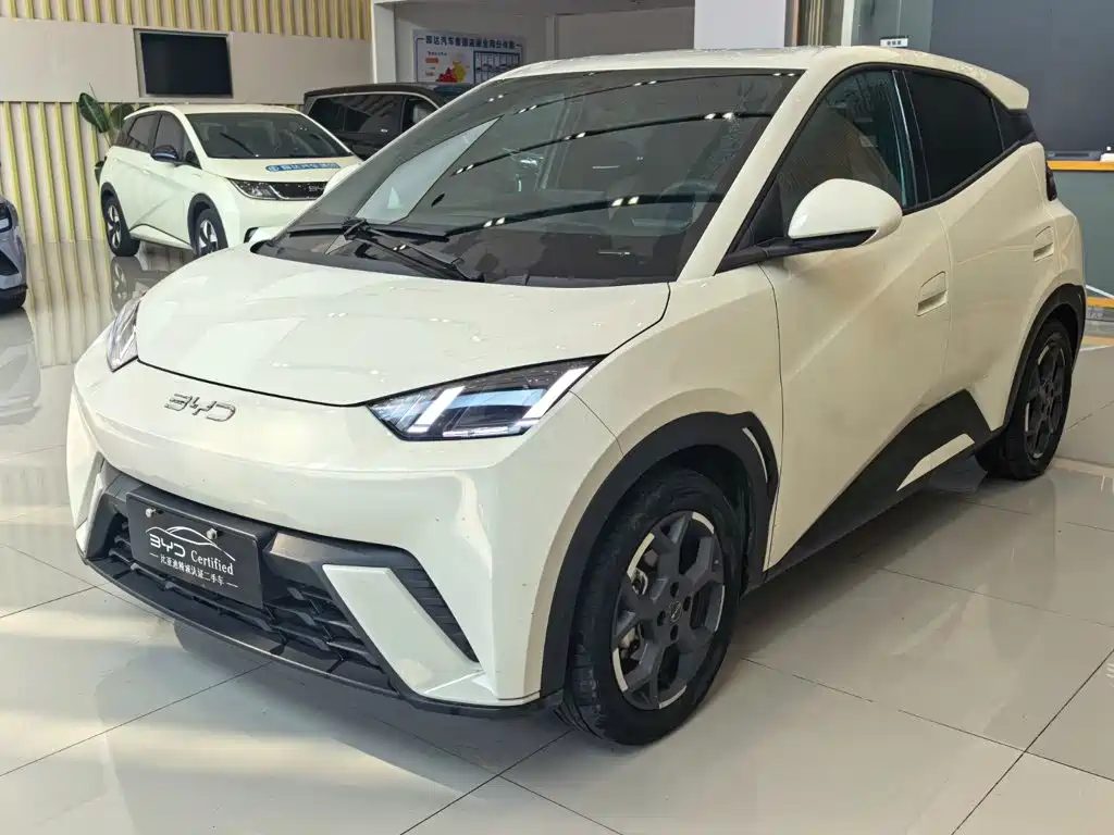 BYD Seagull 2024