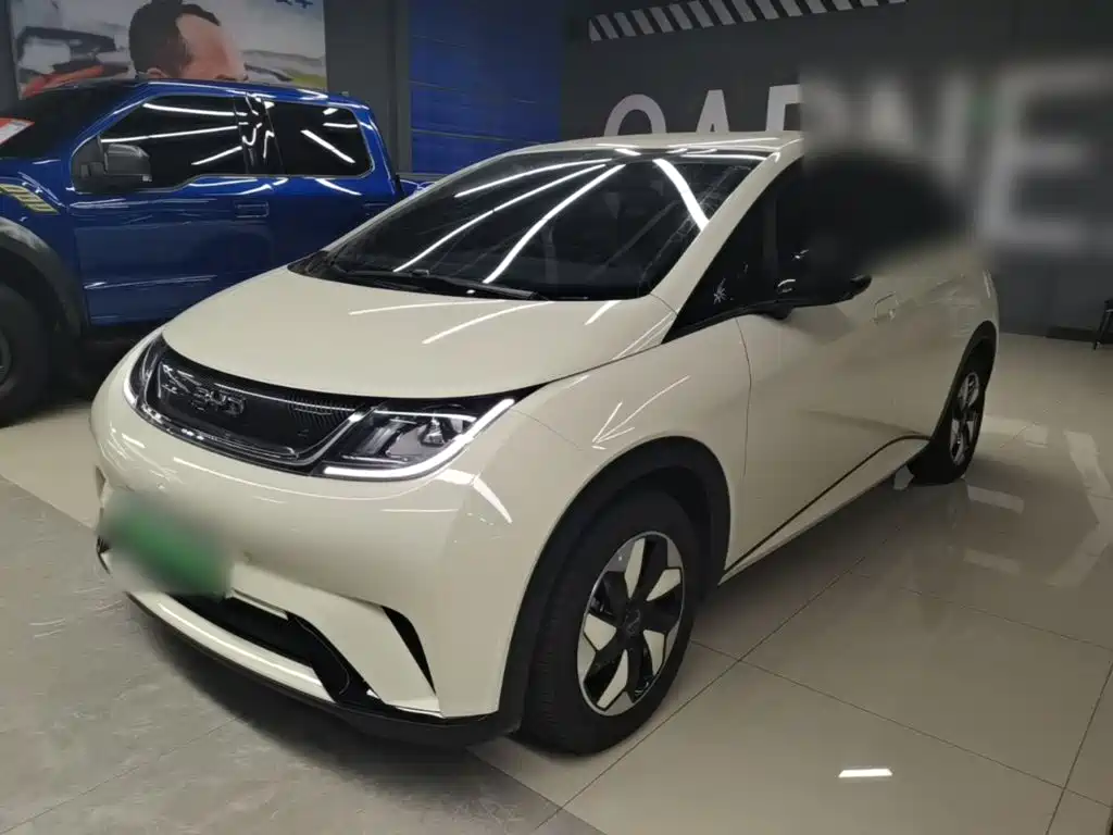 BYD Dolphin 2024