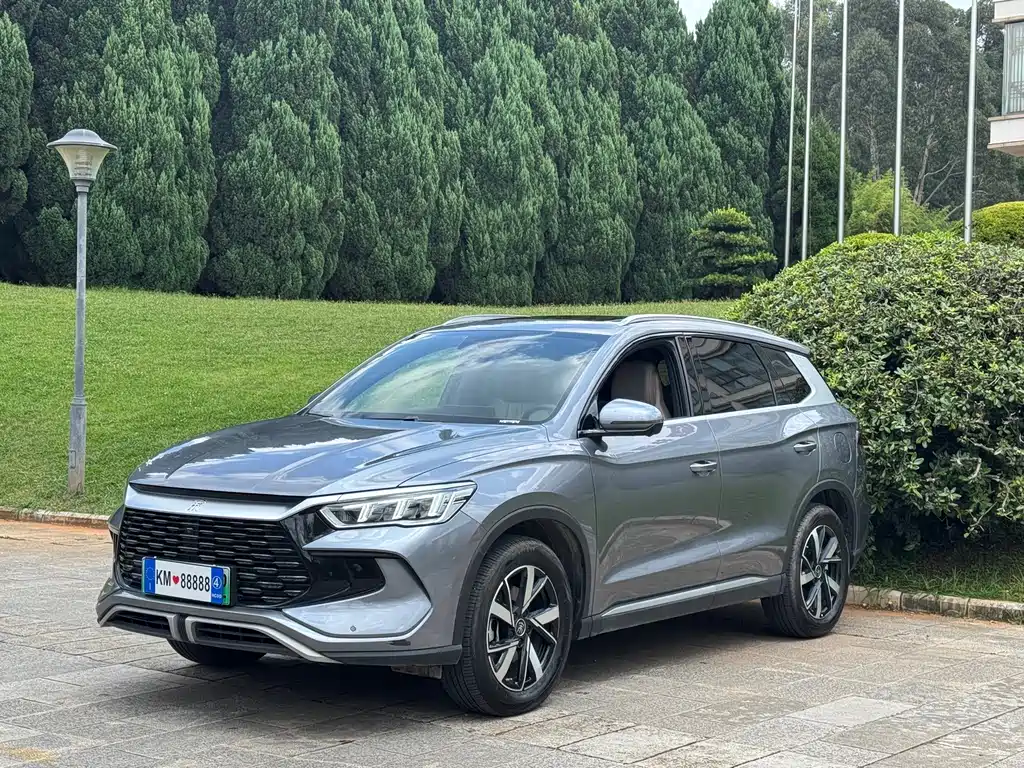 BYD Pro New Energy 2024