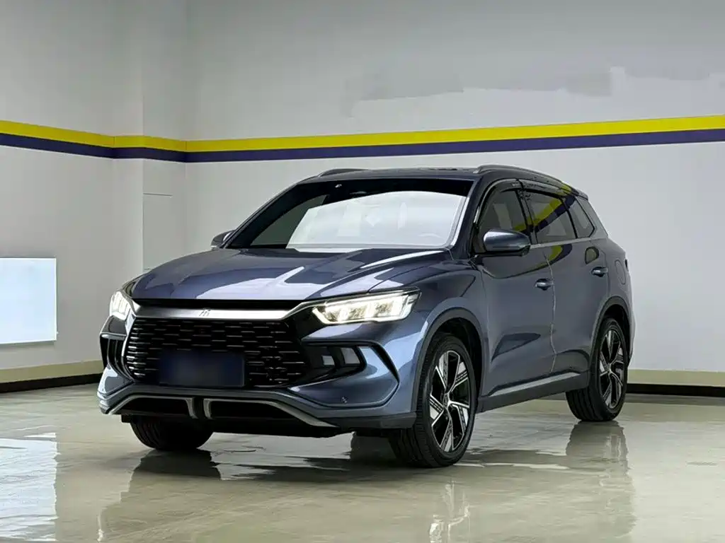 BYD Pro New Energy 2024