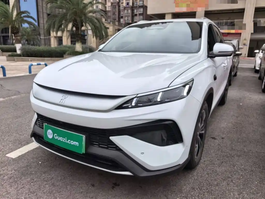 BYD Pro New Energy 2025